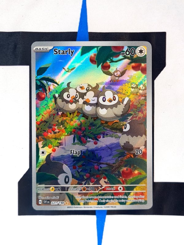 Starly SVI 221