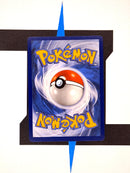 lumiflora-ex-paldeas-schicksale-218-deutsch-back