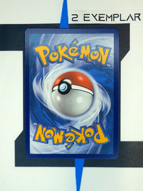    pokemon-karten-raikou-v-art-rare-crown-zenith-englisch-2-back