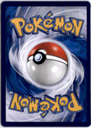 pokemon_karten_gengar_holo_rare_cbb3c_03_chinese_back