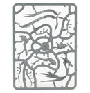 warhammer-age-of-sigmar-spearhead-lumineth-realm-lords-hurakan-vanguard-inhalt-3