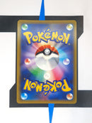 Arrokuda SHFSV31 EN EX