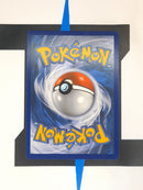 Arrokuda SHFSV31 EN EX