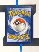 Acerola BUS142 EN EX